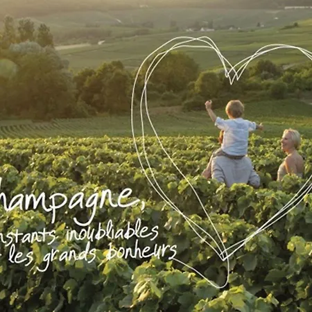 Entre Terres Et Vignes A La Ferme Avec Privatif En Champagne A Heure De Paris