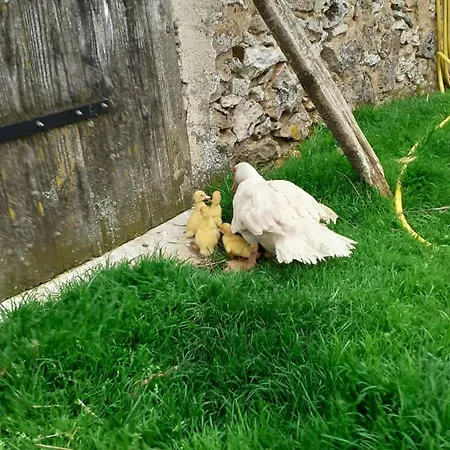 Entre Terres Et Vignes A La Ferme Avec Privatif En Champagne A Heure De Paris Сasa de vacaciones *